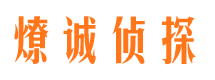 临淄市场调查